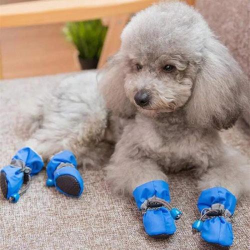 Waterproof Pet Anti-Slip Rain Boots 