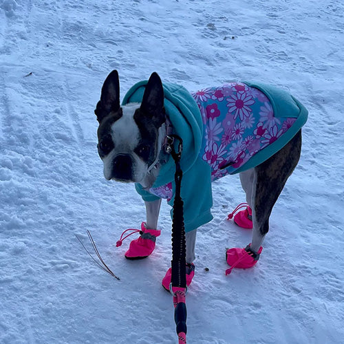 Waterproof Pet Anti-Slip Rain Boots 