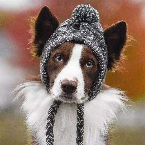 Winter Knitted Dog Hat with Pom Pom