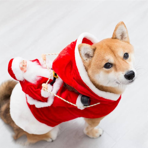 Santa Dog Rider Christmas Costume