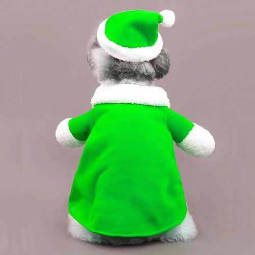 Santa Elf Festive Costume