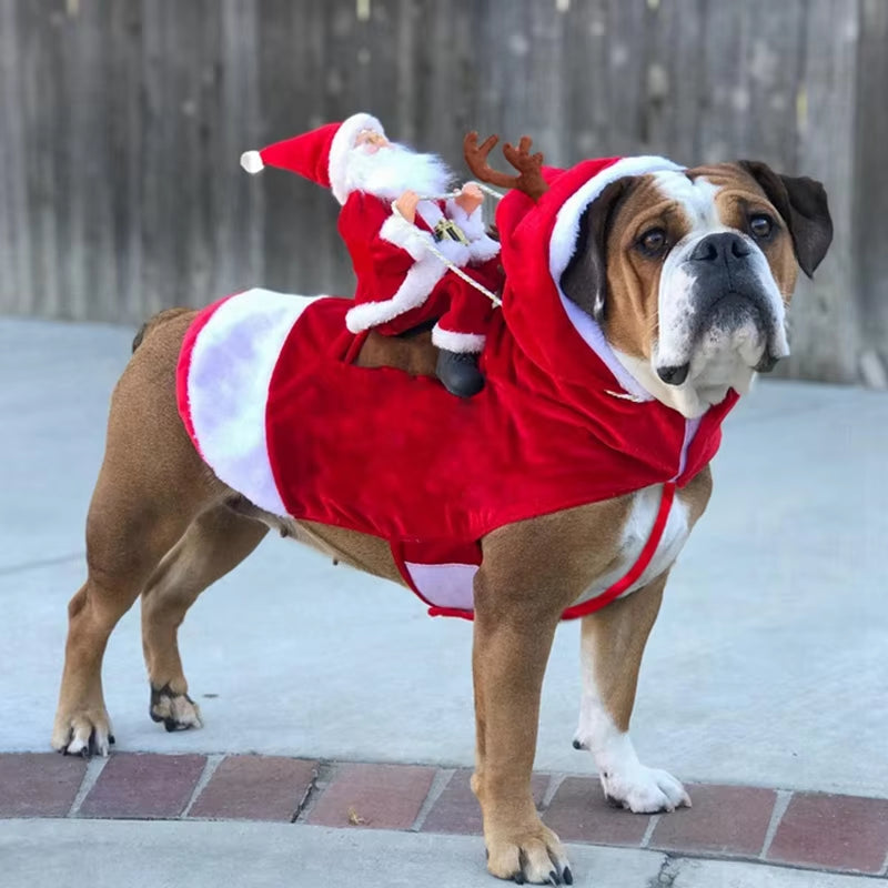 Santa Dog Rider Christmas Costume