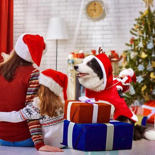 Santa Dog Rider Christmas Costume