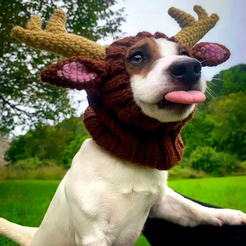 Warm Reindeer Anti Noise Christmas Hat