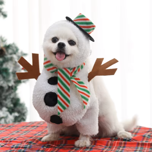 Olaf The Snowman Dog Costume